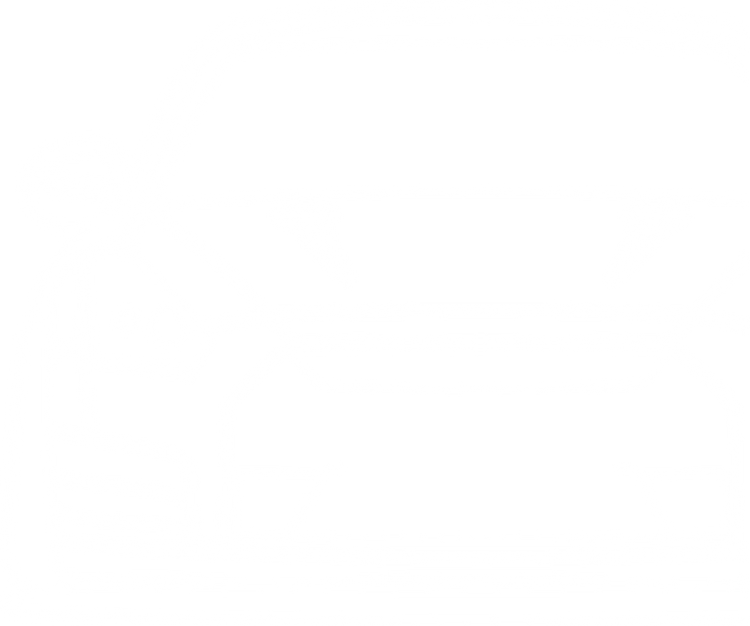 Nissan GTR