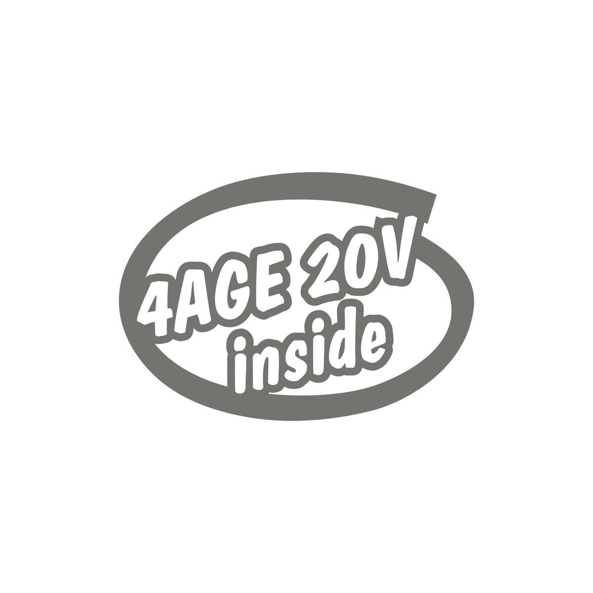 4 Age 20V inside Sticker