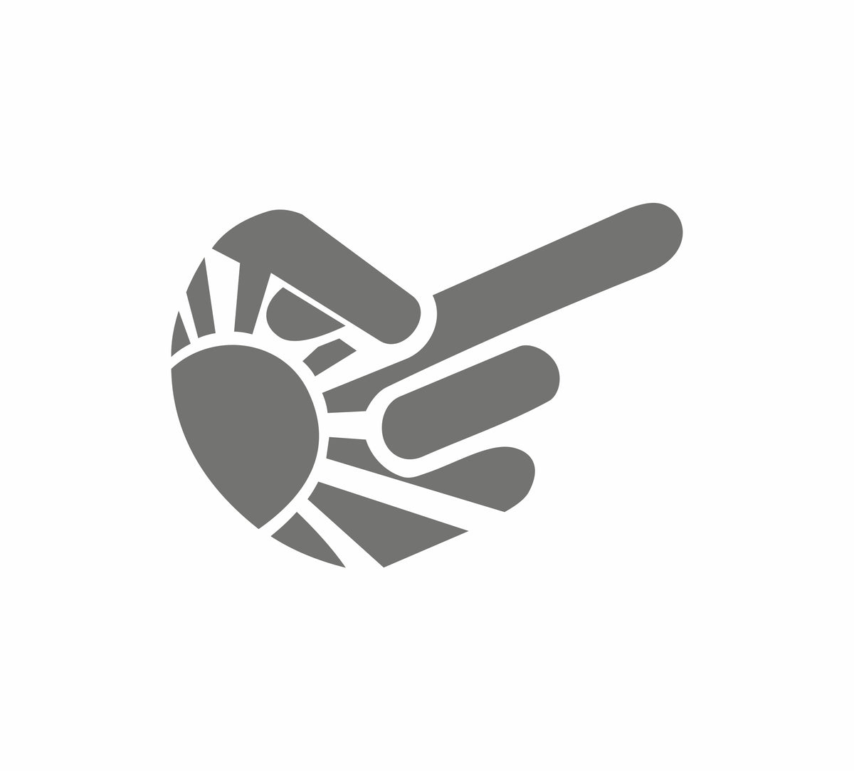Stinkefinger Rising Sun