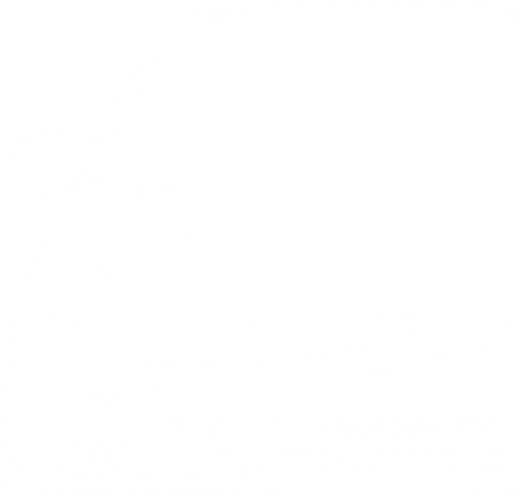 Mazda MX3 collection graphic