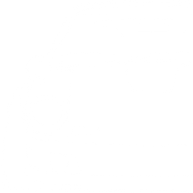 Nissan Datsun