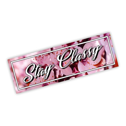 Stay Classy Slapsticker