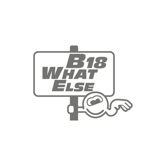 B18 what else