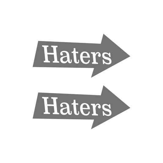 Haters Pfeile 2pcs