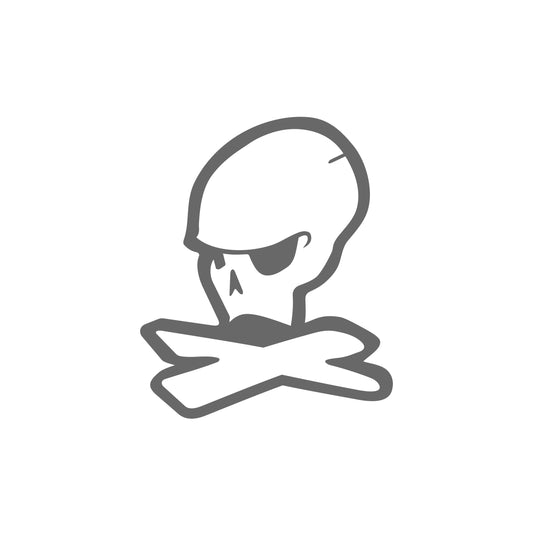 Skull 1